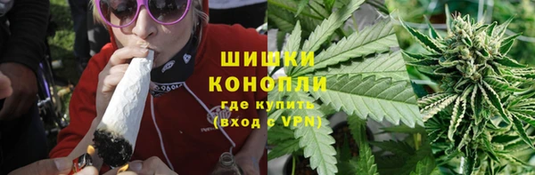 стаф Богданович